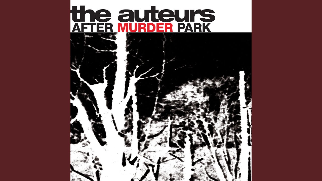 The Auteurs - Fear of Flying