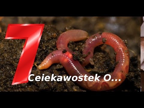 Jako członek medycznego powiększyć Niż niebezpieczne powiększenie penisa