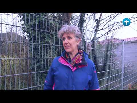 Vlog#9 ChristenUnie Middelburg - Blijft het zwembad in Arnemuiden open?