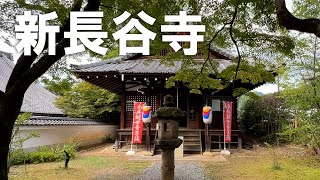 真正極楽寺 (真如堂)【元三大師堂と新長谷寺】明治の神仏分離令により、かつては吉田神社の神宮寺であった新長谷寺が真如堂に移築（2025年9月21日）