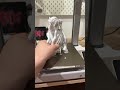 I tried the PLA Marble from Bambu Lab. Watch how it turns out. #3dprinting #bambulab