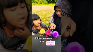 Download lagu KALIAN PILIH ANAK AYAM WARNA APA ⁉️ mp3