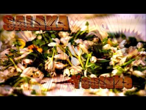 Watiqu E Mosi Dina - Cagi Mudre SouthXidE Dj Ft JBoy