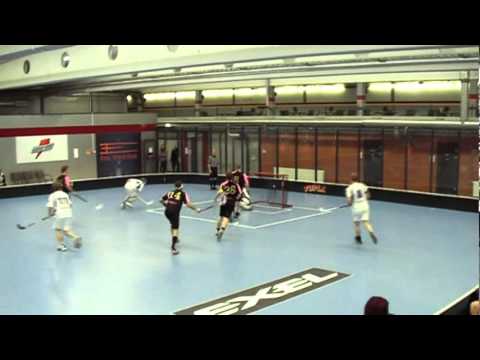 Leisku - Flames 8-5 (Leaf areena 28.11.2010)