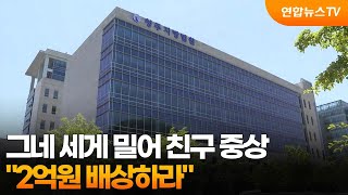 그네 세게 밀어 친구 중상…2억원 배상하라 / 연합뉴스TV (YonhapnewsTV)