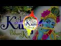 Aarti kunj bihari ki dj  janghel kirishna janmsthmi (spesal song) DJK2 SONG