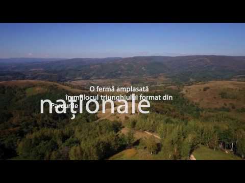 clip promovare ferma montana Sumita, Caras-Severin