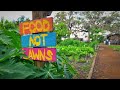 Tour This 1 4 Acre Urban Food Forest Community Garden St Pete EcoVillage