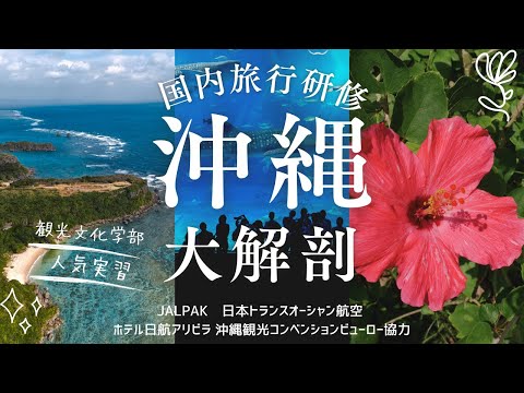 【就職率100%の秘訣】観光文化学部の大人気「沖縄での国内旅行研修」を大解剖！  #観光学部 #大学生 #女子大 #東京の大学 #オープンキャンパス