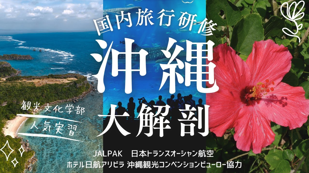 【就職率100%の秘訣】観光文化学部の大人気「沖縄での国内旅行研修」を大解剖！