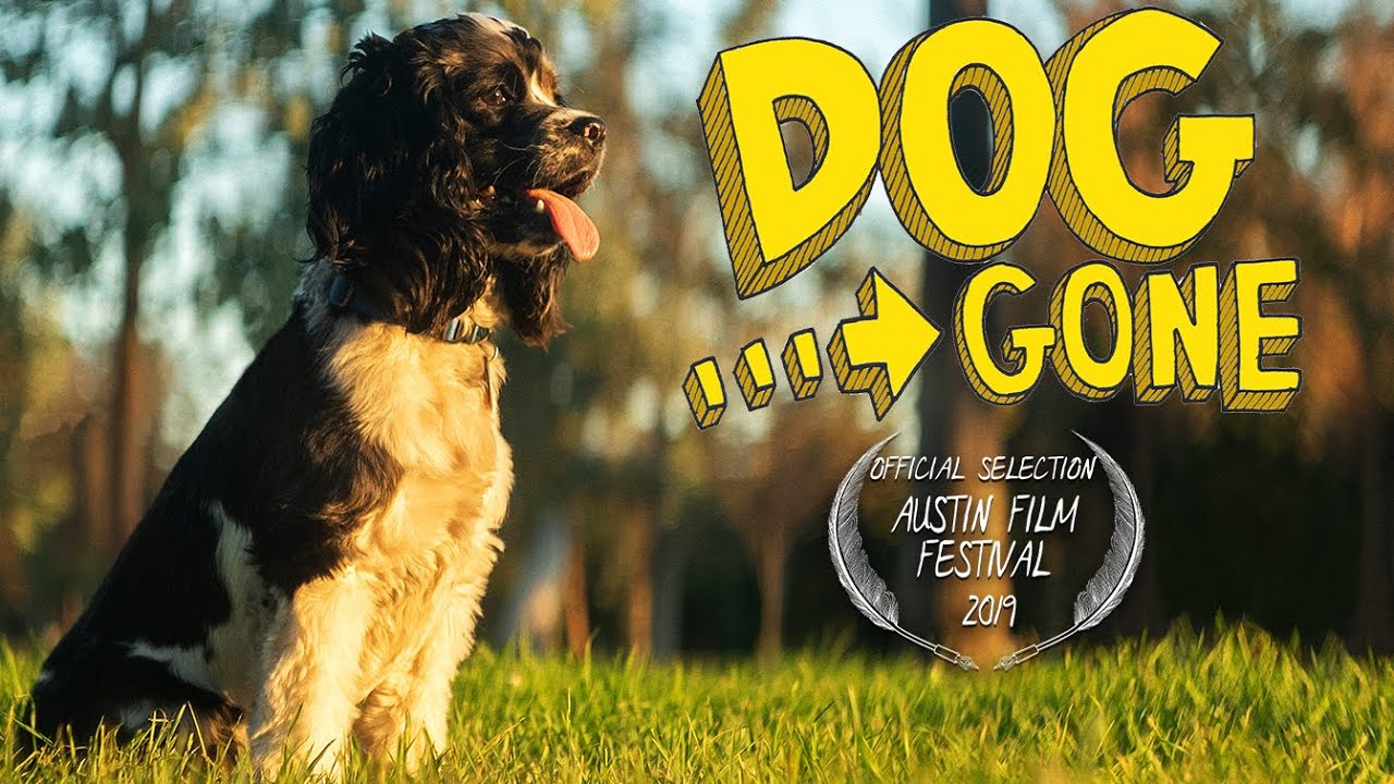 DOG GONE | Comedy Short Film