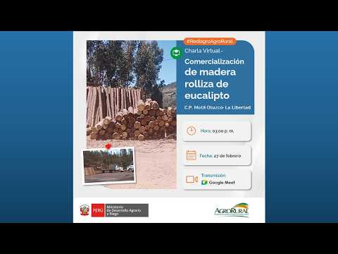 Comercialización de madera rolliza de eucalipto C.P. MOTIL OTUZCO LA LIBERTAD 27.02.2026