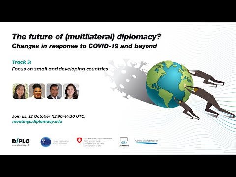 4/7 Focus on small and developing countries [The future of (multilateral) diplomacy]