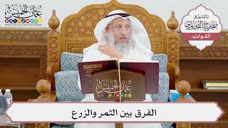 [943] الفرق بين الثمر والزرع - عثمان الخميس