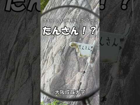 【大阪成蹊大学】学生撮影中に見つけた「たんさん」とは！？