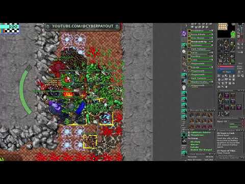 TIBIA DISS - Cyberpayout Specialized freestyle diss ANTICA PK 2025
