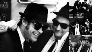 The Blues Brothers - Who&#39;s making love (1980)