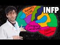 How the INFP Brain Works