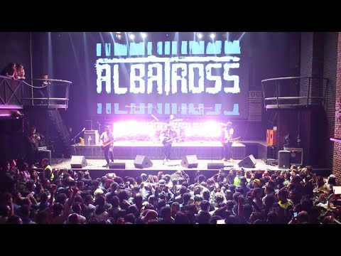 Albatross | Bachau | Live