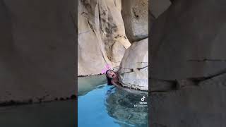 Se las lleva un Tiburón 🦈