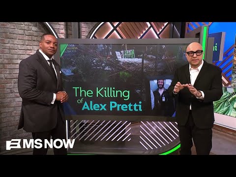 A frame-by-frame break down of the fatal shooting of Alex Pretti