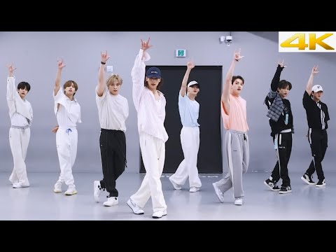 Stray Kids - 'CASE 143' Dance Practice Mirrored