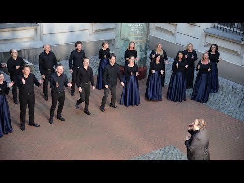 Clap your hands // Katarzyna Danel // Chór Centrum Myśli Jana Pawła II