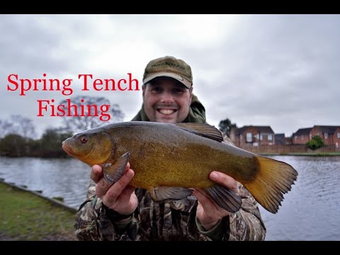 Spring Tench Fishing #Tenchfishing