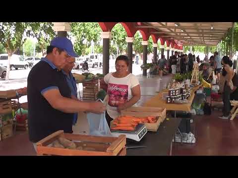 Feria Agroproductiva Albardón. San Juan. 22. 11. 2025.