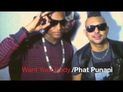 Leftside Feat. Sean Paul & Mystic - Phat Punani [2012 Remix]