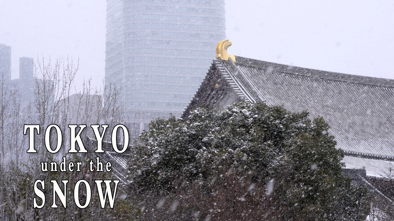 Редчайшее явление - снегопад в Токио, 4K