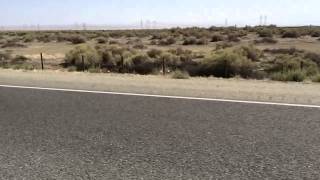 Road Trip - Tumbleweed Wasteland