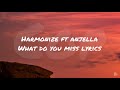 Harmonize ft anjella - what do you miss (Lyrics)