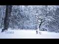 Órla Fallon - Winter, Fire And Snow 