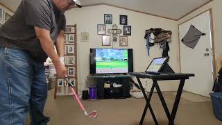 E6 Green Settings and 6 Holes on SwingLogic MicroSim
