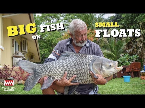 John Wilson - Siamesisk karpe i Thailand