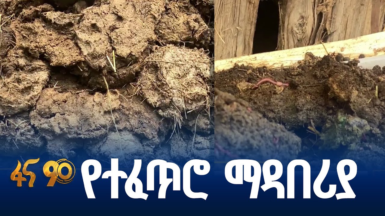 የተፈጥሮ ማዳበሪያ ዝግጅት በደቡብ ወሎ ዞን