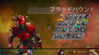 敵とカクカク画面が襲ってくるんだ...再