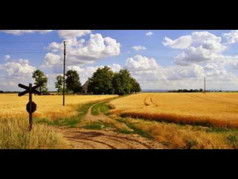 Misa Blizanac-Ovde sam rodjen (created by Damir)