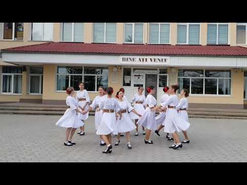 Ansamblul de dans "Firicel de Busuioc" -Sârba