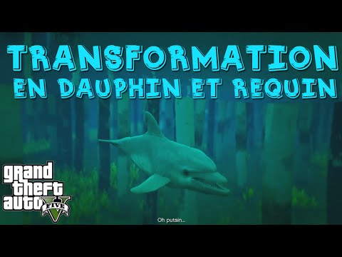 Gang de Requins Xbox