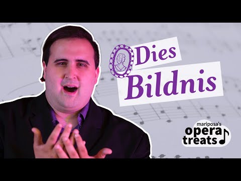 Opera Treats | 'Dies Bildnis ist bezaubernd schön', Lyndon Ladeur