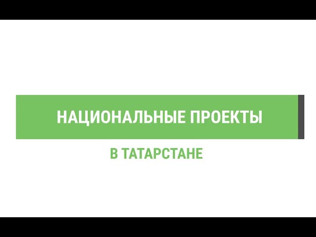 В 2023 году в лесах Татарстана благоустроено 225 зон для отдыха жителей