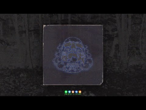 Ryi$ - Chained Beast (Prod. SLVG X TUNDRAMANE)