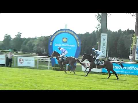 Valldemoso,Nikas zkušební cval - 26.5.2012