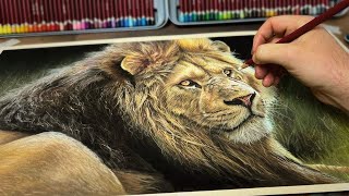 My Process for Realism : Painting a Lion in Pastel