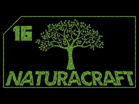 LP NaturaCraft S01E16 - En quête de nouveaux minerais