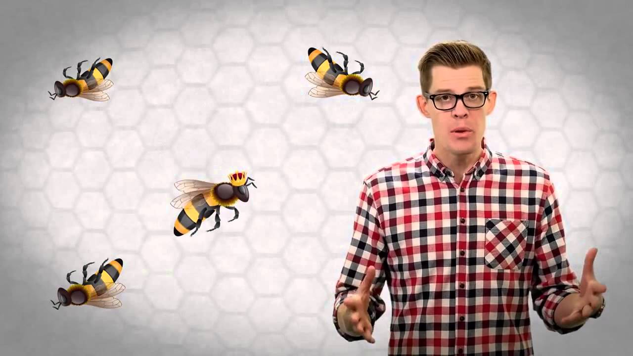 Как пчелы делают мед, видео для детей