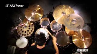 Cymbal Vote - Rodney Howard - Demo - 19