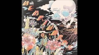 The Shins - So Now What